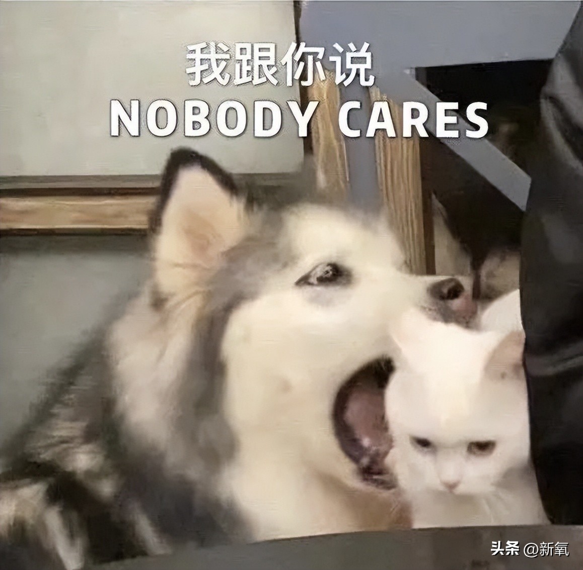 如何好好说话掌握说话技巧,日常各种经典场合的说话技巧