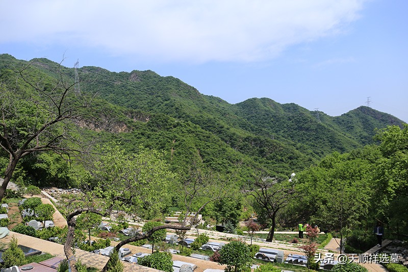 九公山长城纪念林陵园价格表,九公山长城纪念林陵园公墓价位