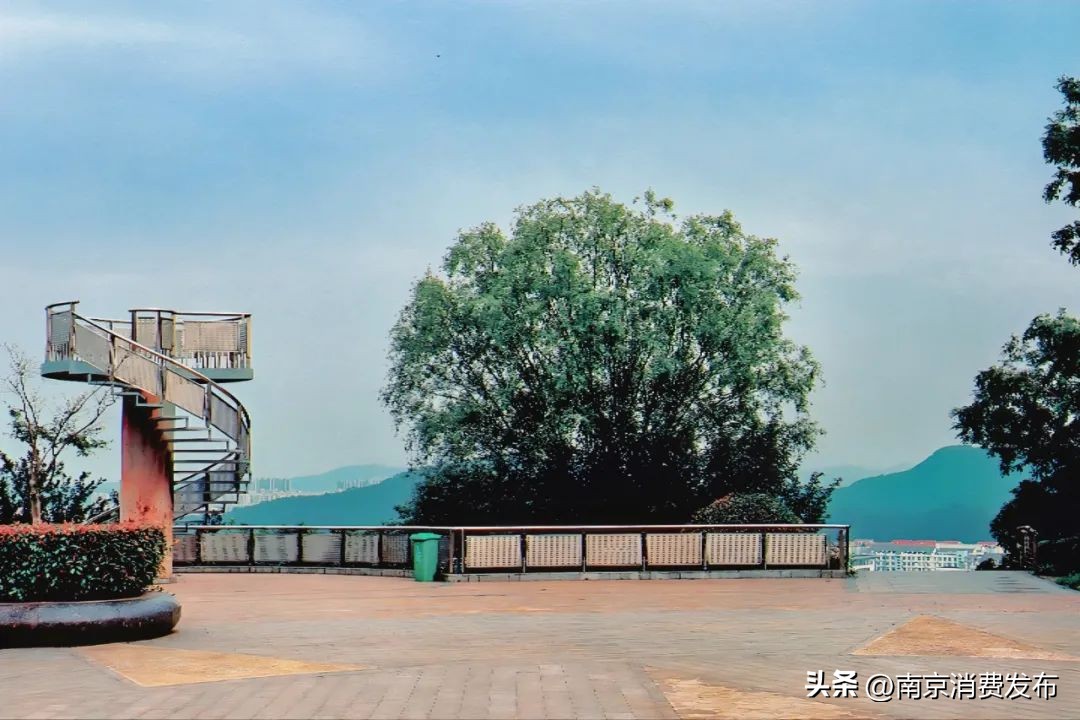 南京citywalk指南,南京12月份citywalk