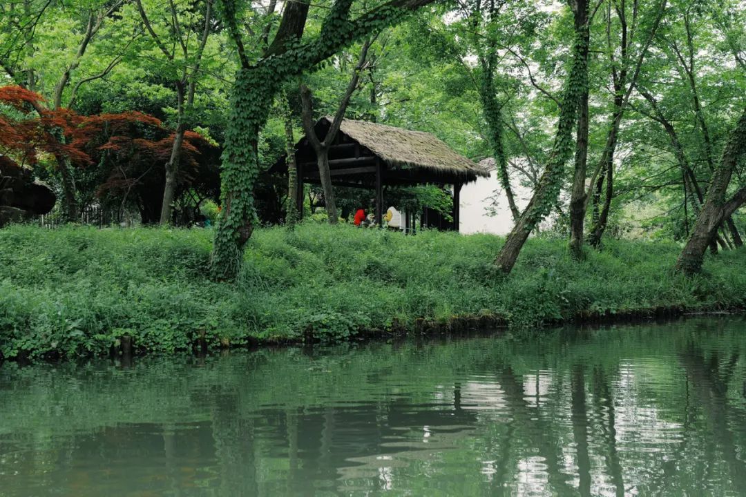 春天的潺潺溪水,春天的顶流