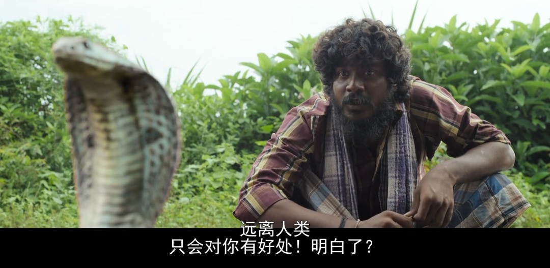 一部引人深思的印度电影,一个令人深思的印度电影