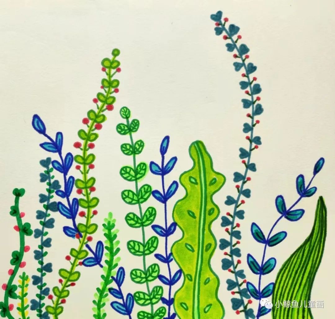 绿色的豌豆荚,最好的豌豆荚