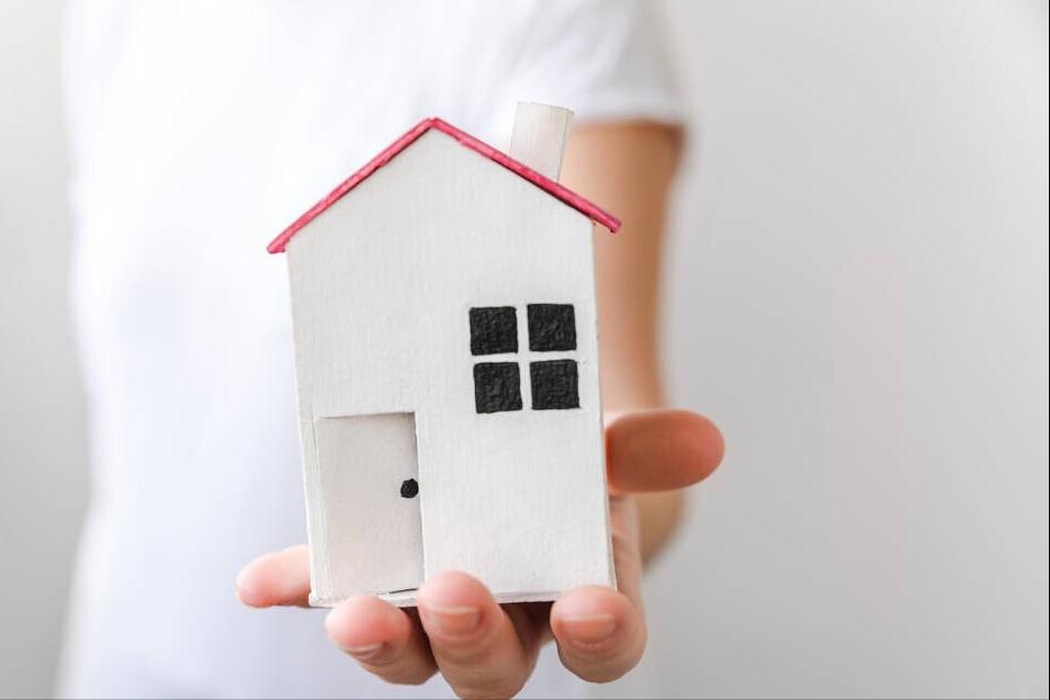 以案释法不承担责任怎么处理,间接损失的赔偿有法律依据吗