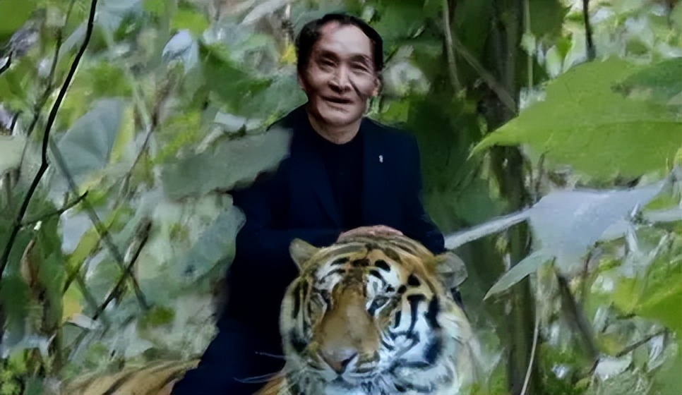 周正龙诈骗案判几年,周正龙的华南虎事件一审判决书