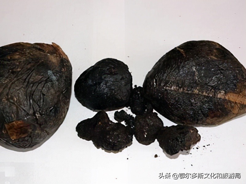 禁毒日远离毒品,禁毒宣传和安全知识防护