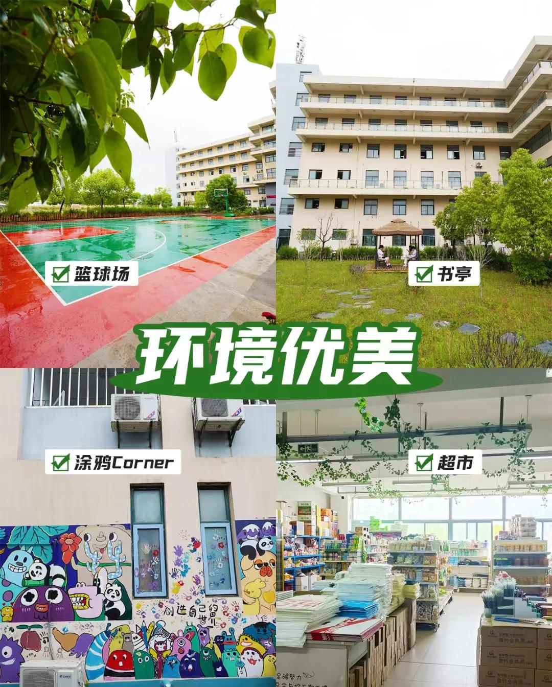 合肥新文道考研半年集训营:6大冷门专业,上岸率高,就业率不差