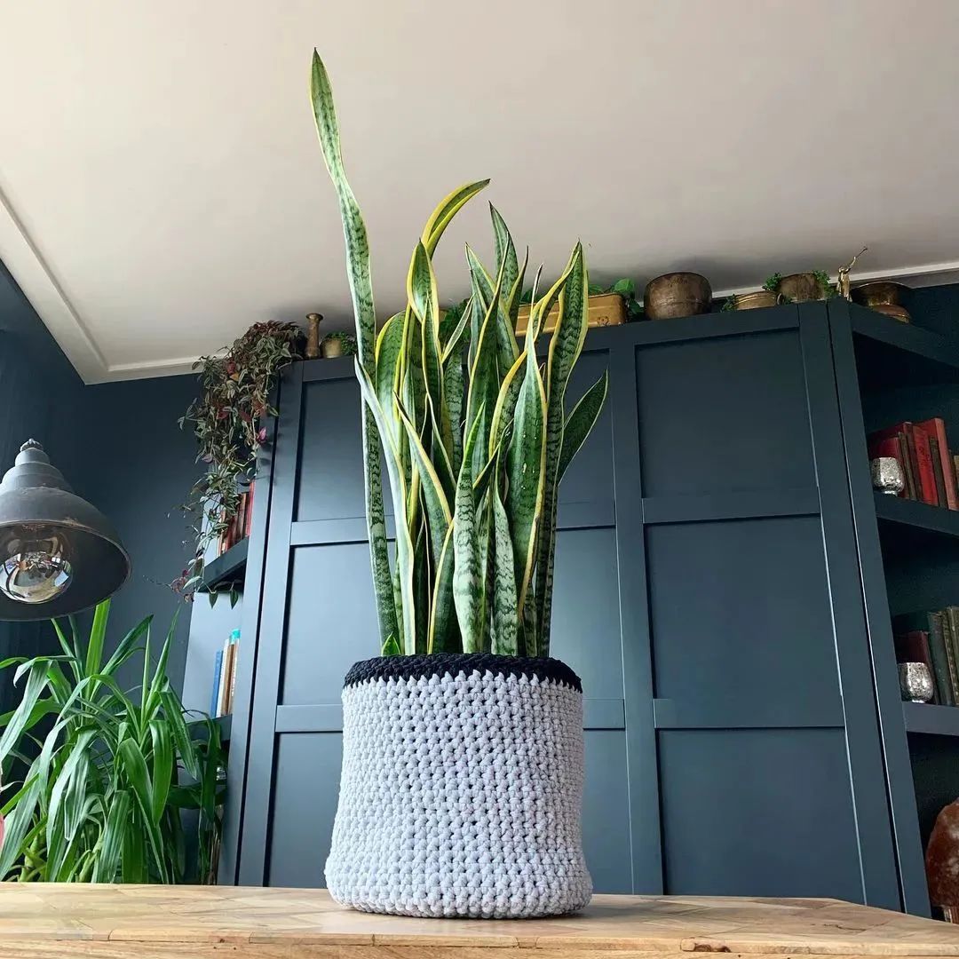 男人，你打个毛线