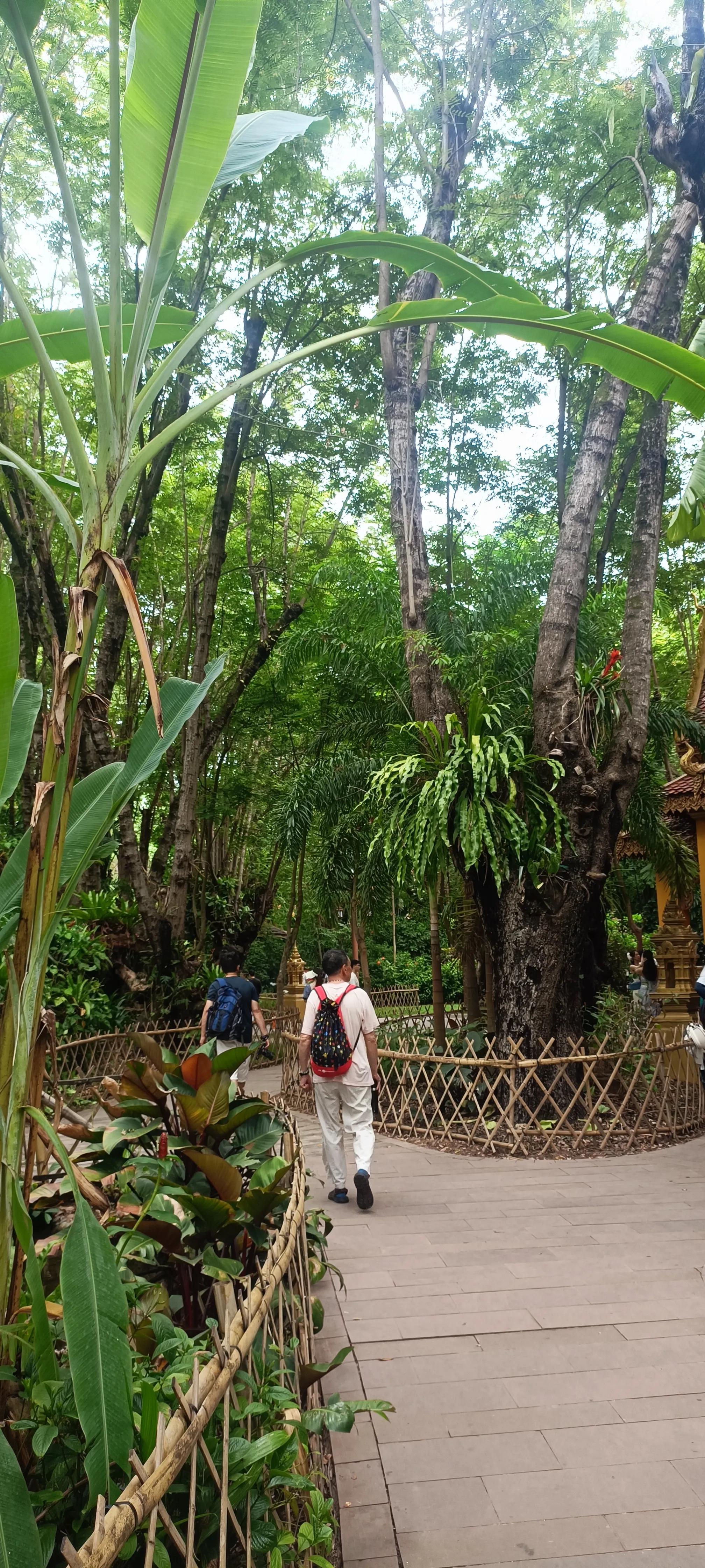 云南旅游10天自由行攻略,来一趟说走就走的云南之旅