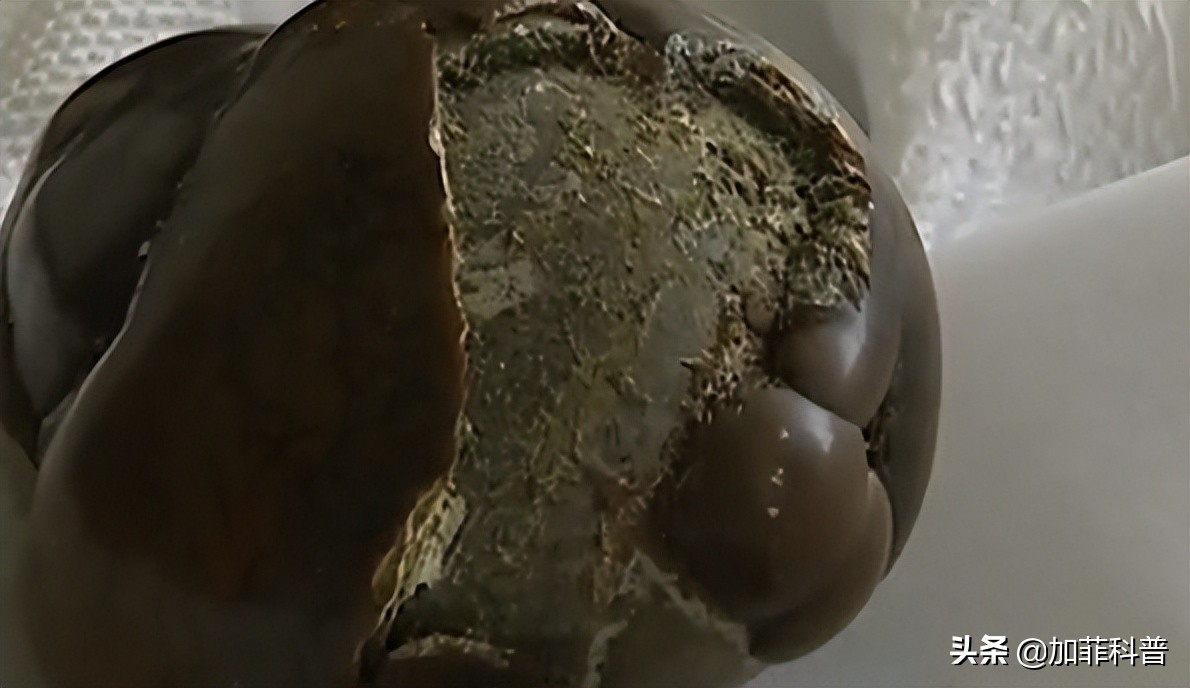 瘫痪老人能吃驴肉么,八旬老人脑梗瘫痪还能撑多久