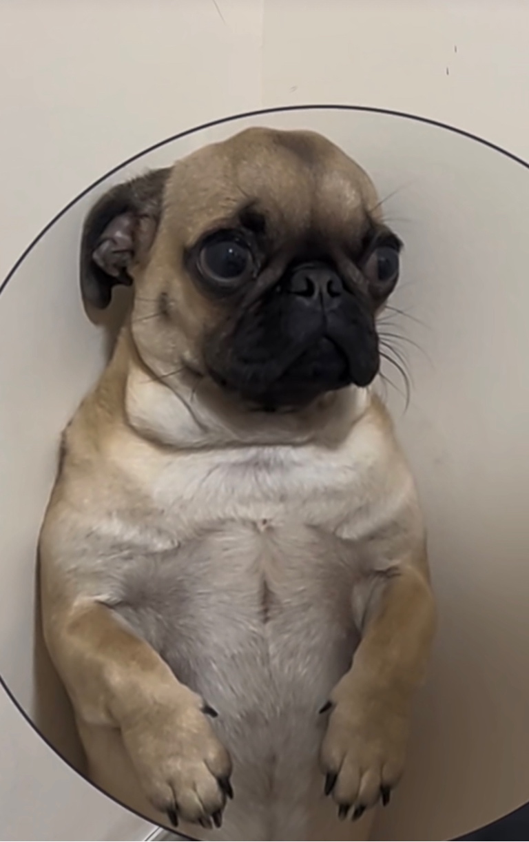 华泰股份行业分析,了解我的上市公司