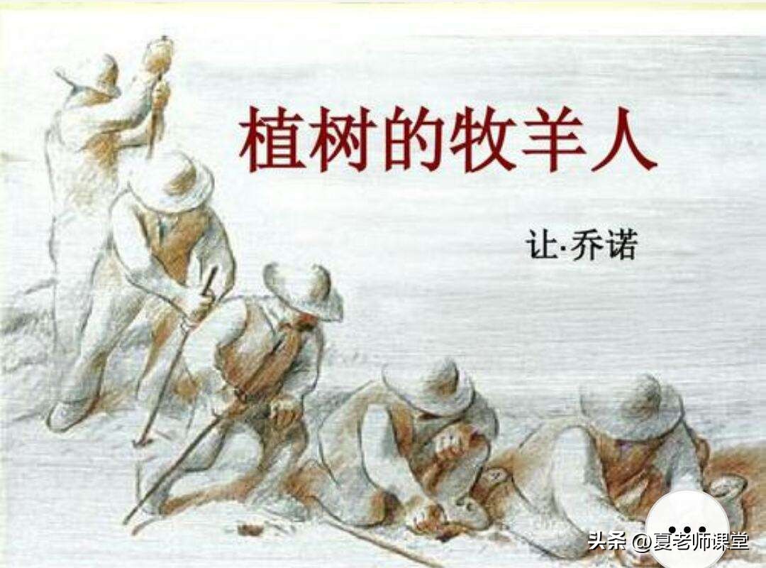 七年级语文上册第14课《植树的牧羊人》重点知识及课后习题答案