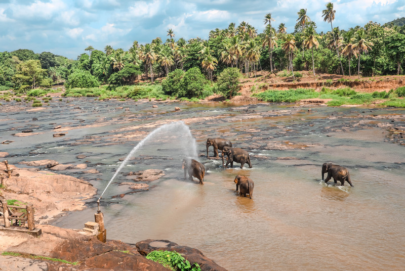 斯里兰卡旅游攻略必去景点,斯里兰卡最佳旅游攻略