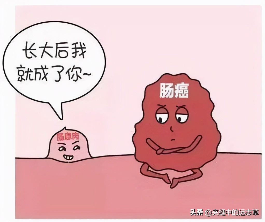 专治息肉的四味药组方,中医四味药消除大部分息肉