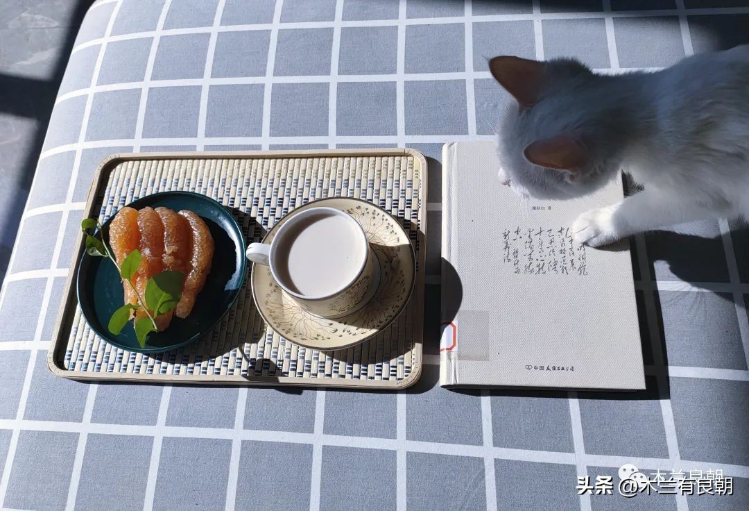 这回这妖精是真的要拆家了