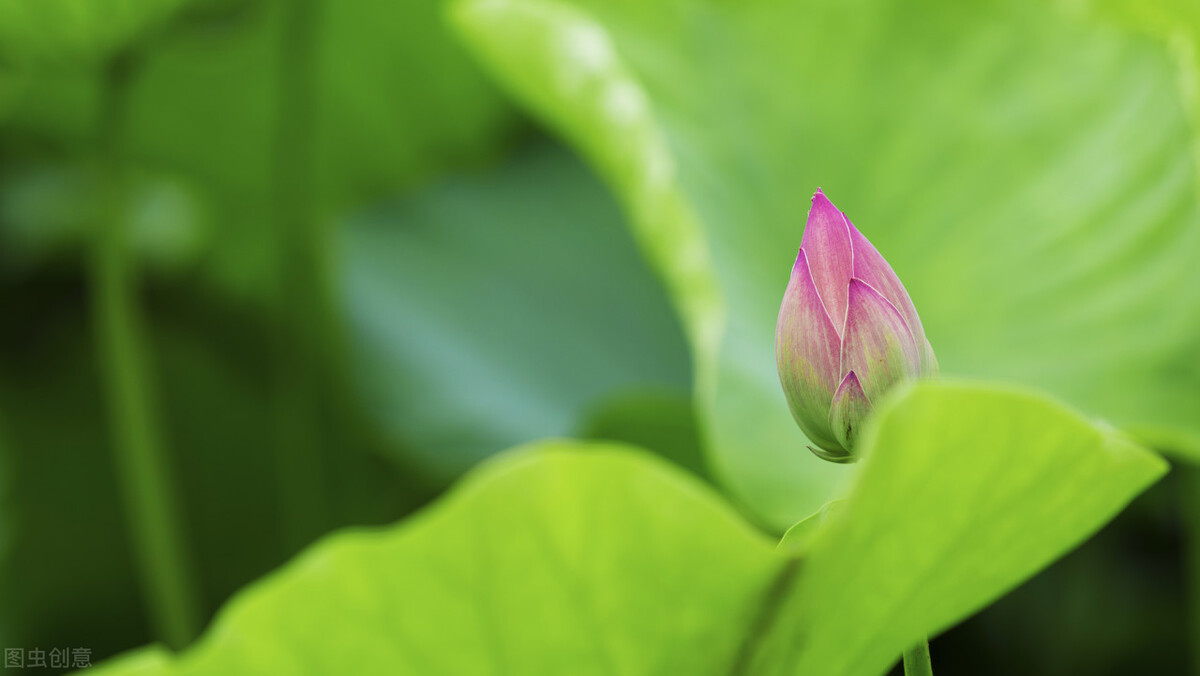 空调扇真的比普通风扇好吗？空调扇可以代替空调吗？