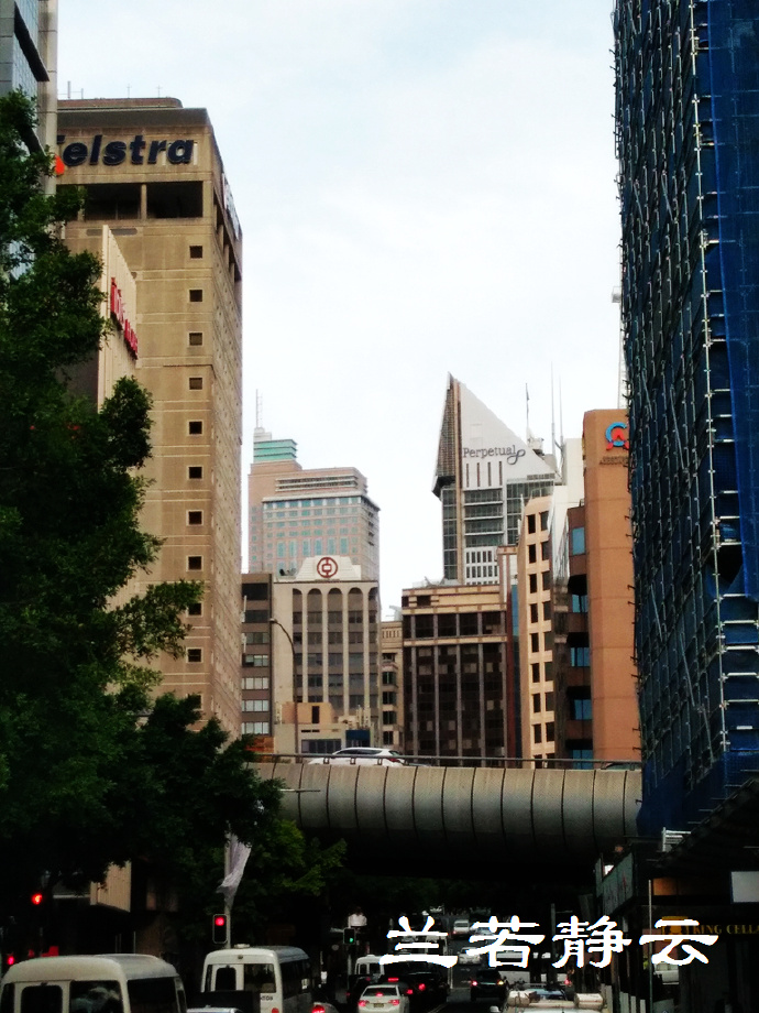 澳洲悉尼街拍,澳洲街拍