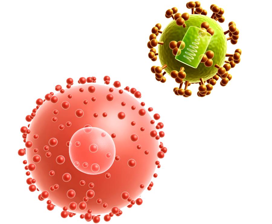 关于艾滋病你需要了解的4个真相,关于艾滋病这些知识你了解多少