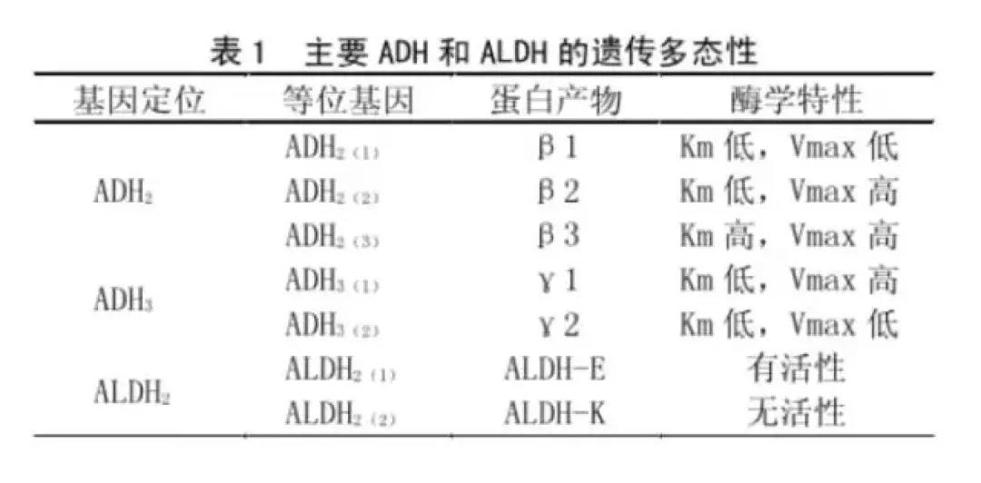 蜂蜜酸奶有解酒功效吗,快速解酒的办法是酸奶还是纯牛奶