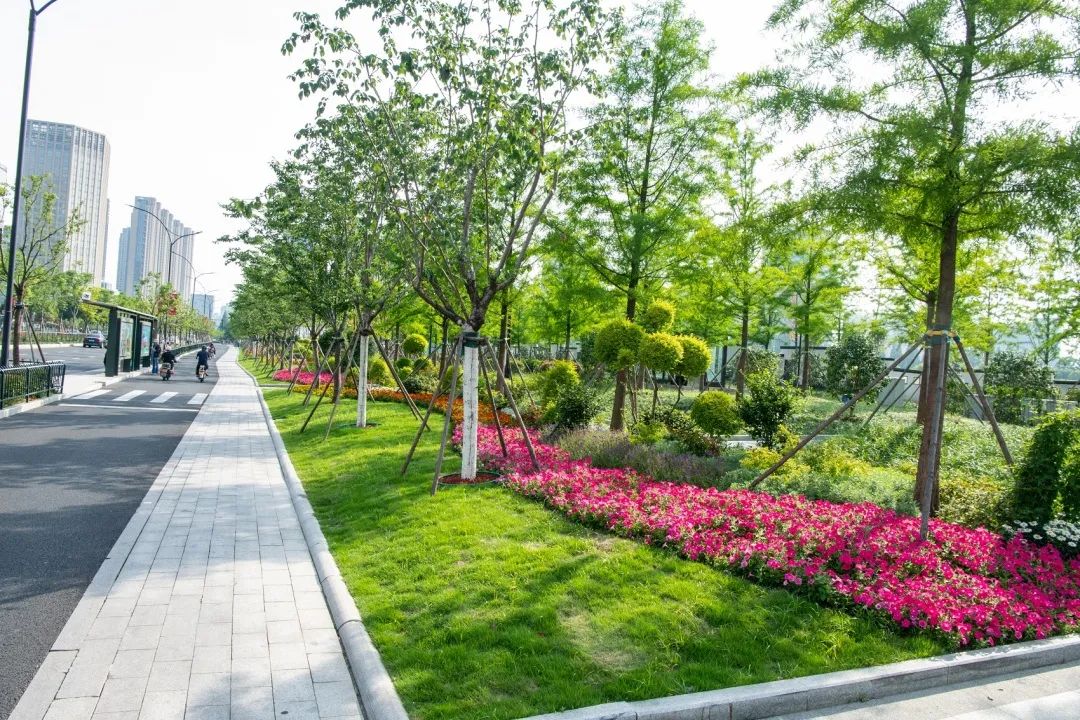 变身市民中心亮出新颜值,市民中心亮点