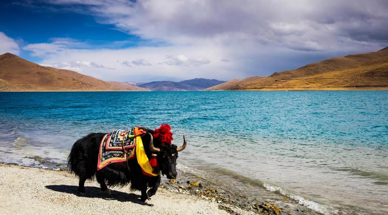 西藏旅行一次心灵的朝圣之旅,即将开启最美西藏之旅