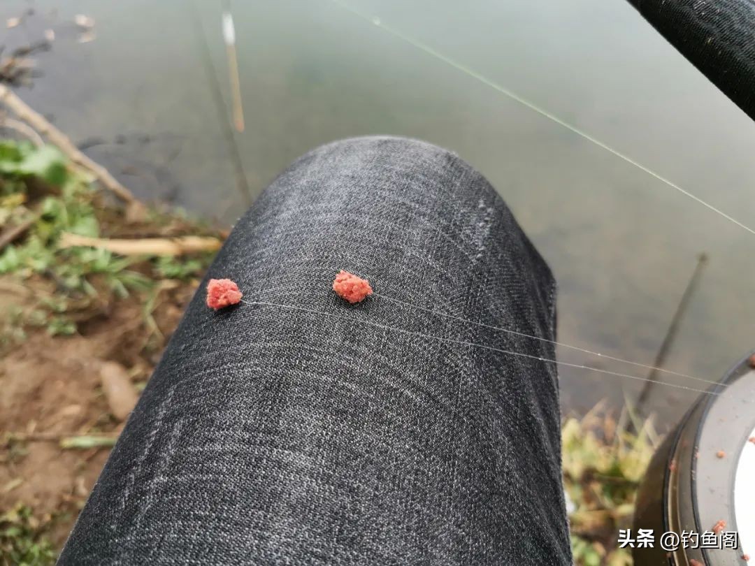 让鱼快速开口的三样东西,冬季钓鱼窝里有鱼星不开口怎么办