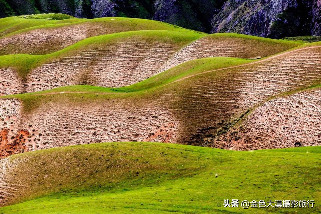 新疆的北疆南疆伊犁哪个最好玩,新疆的伊犁旅游区