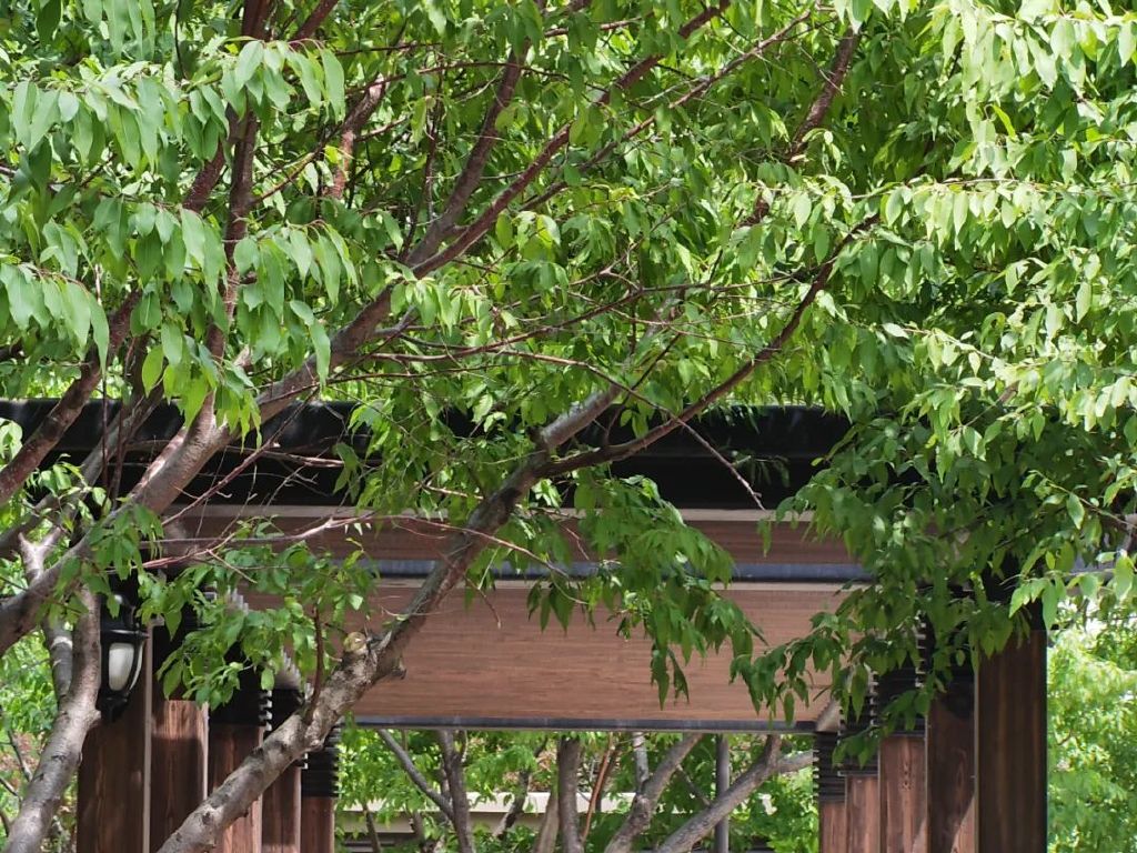 谁是影像机皇,谁才是手机机皇