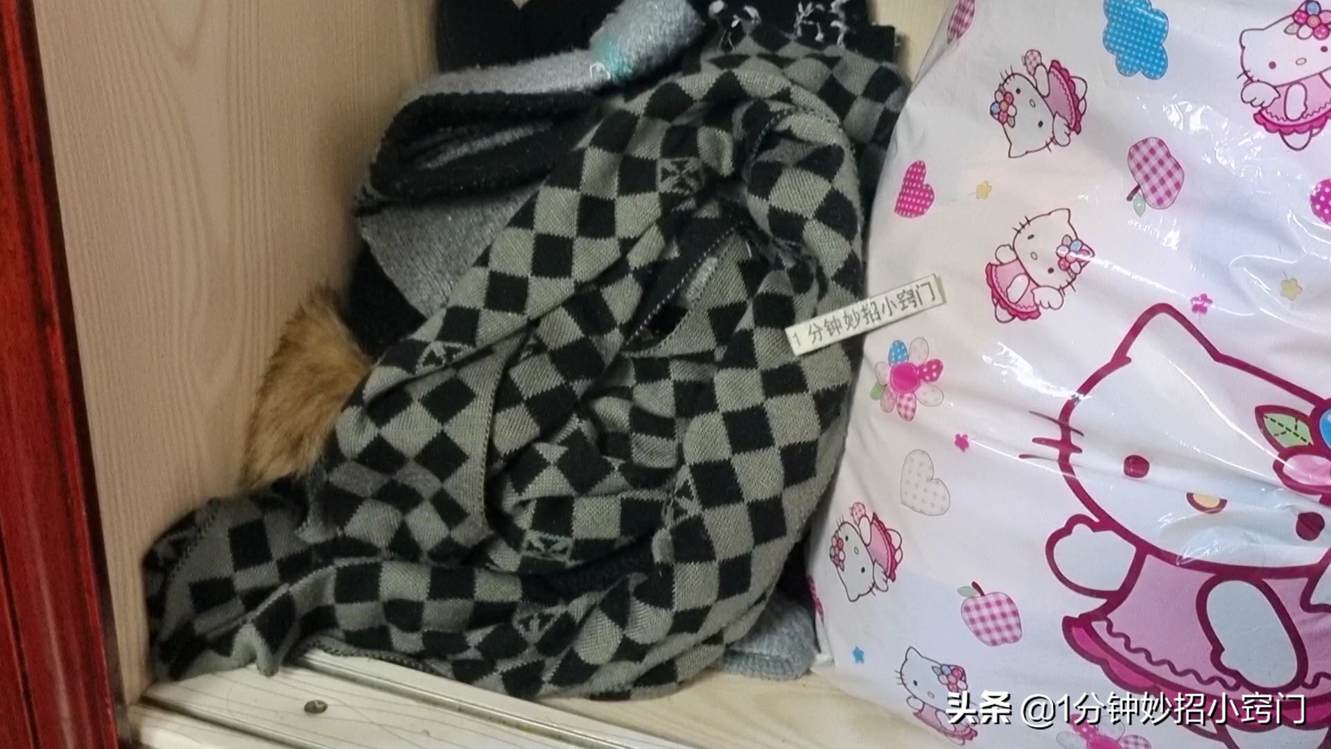 家里有老鼠别着急教你一招,家里有老鼠不要慌只需一个塑料瓶