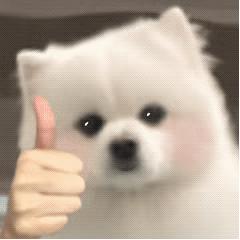 “生物系”科研学长，克服内向的自己，通向心中梦归处