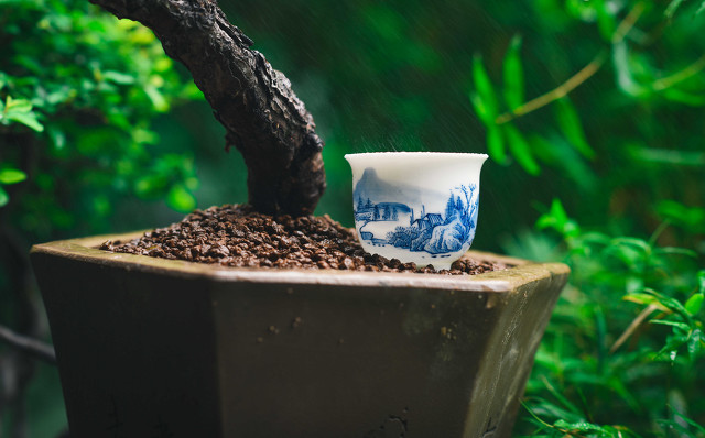 做好一款茶需要工匠精神,用心做茶认清本质