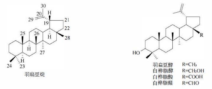 哪些植物含有三萜成分最多,萜烯类物质对植物的功效