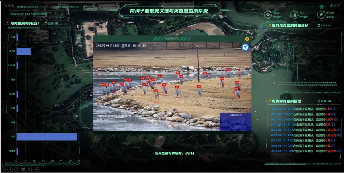 杭州钓鱼男子救人,广东男子在河边救下一只怪鸟