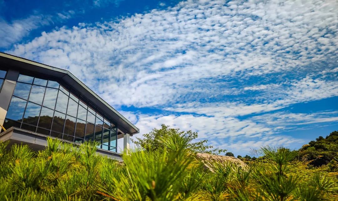 身份证号3703开头是哪里,身份证3703开头是哪里