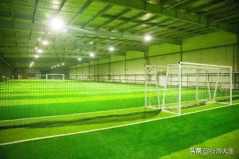 世界杯足球场比赛场地,大连世界杯专业足球场