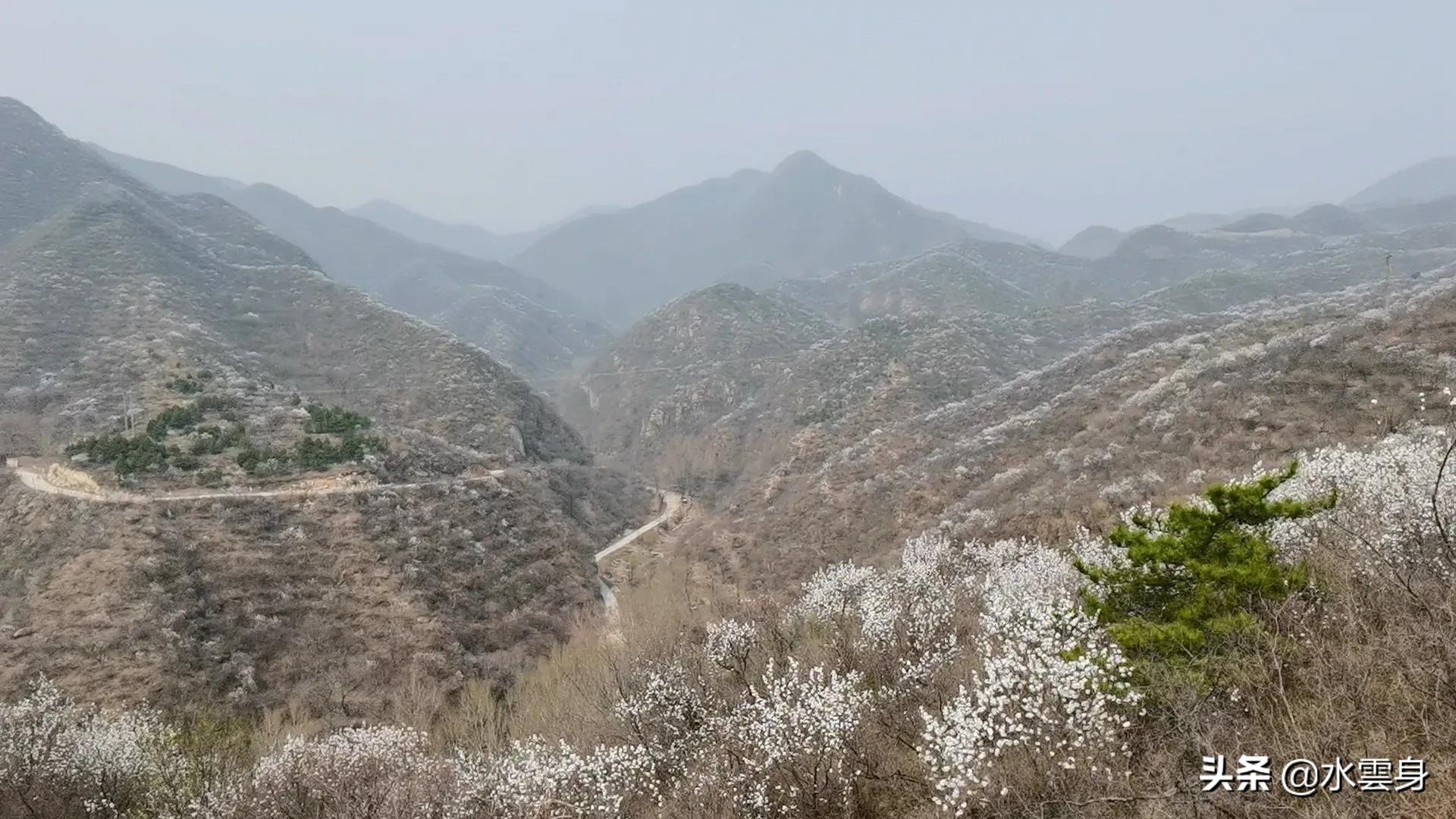 洞头网红打卡点最美公路,门头沟网红公路