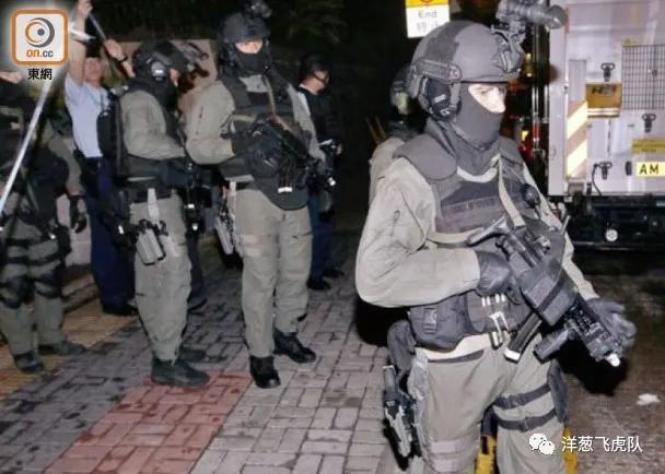 虎年说虎科普视频,虎年说虎运用了哪些说明方法