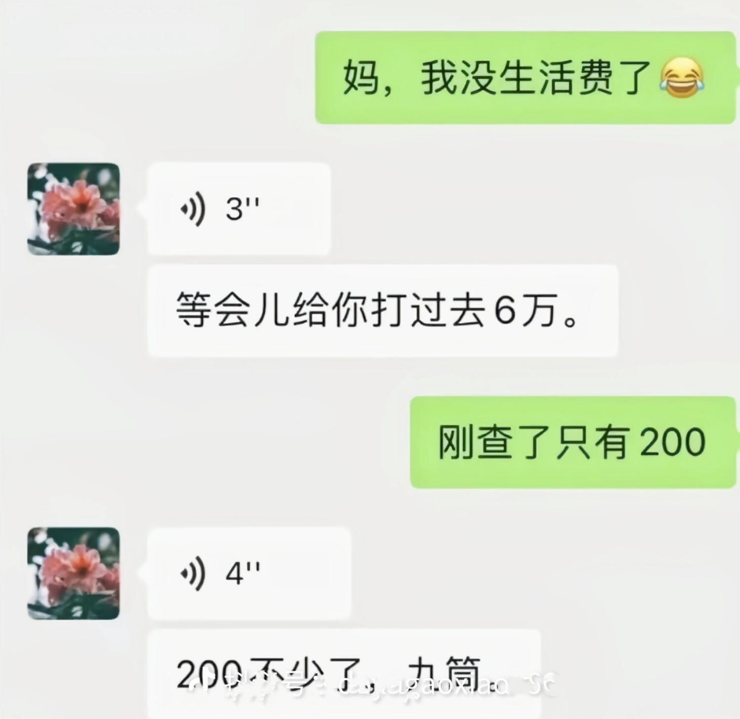 我信了，牛肉面里是有真牛的