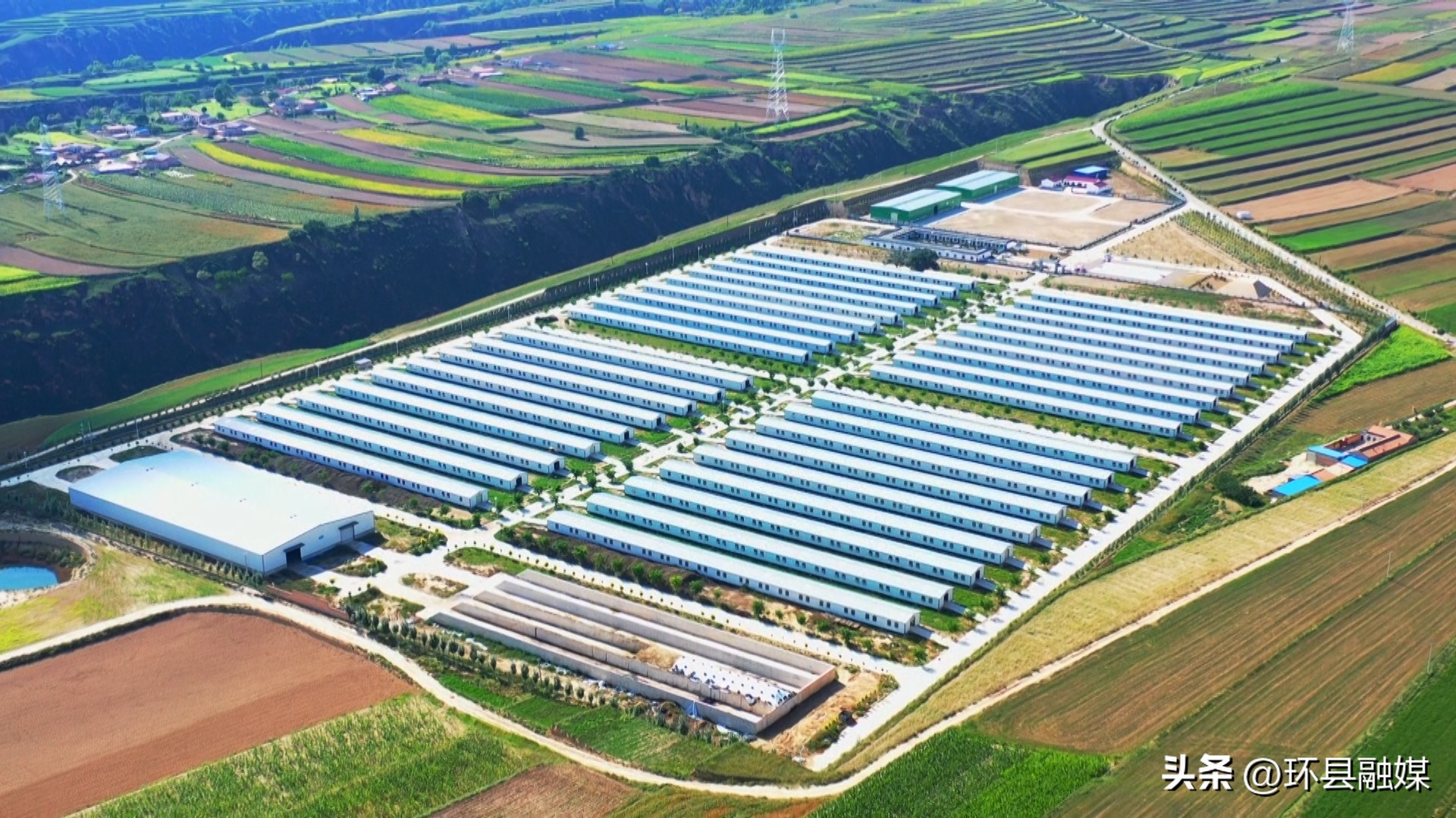 带动群众致富奔小康,容县强化党建引领助推产业发展