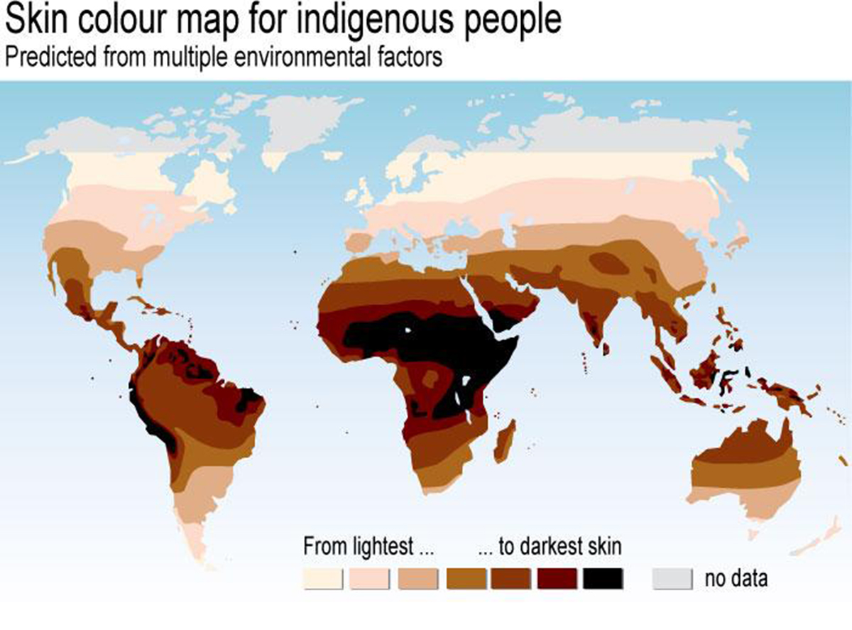 黄种人和黄种人,黄种人杂交问题