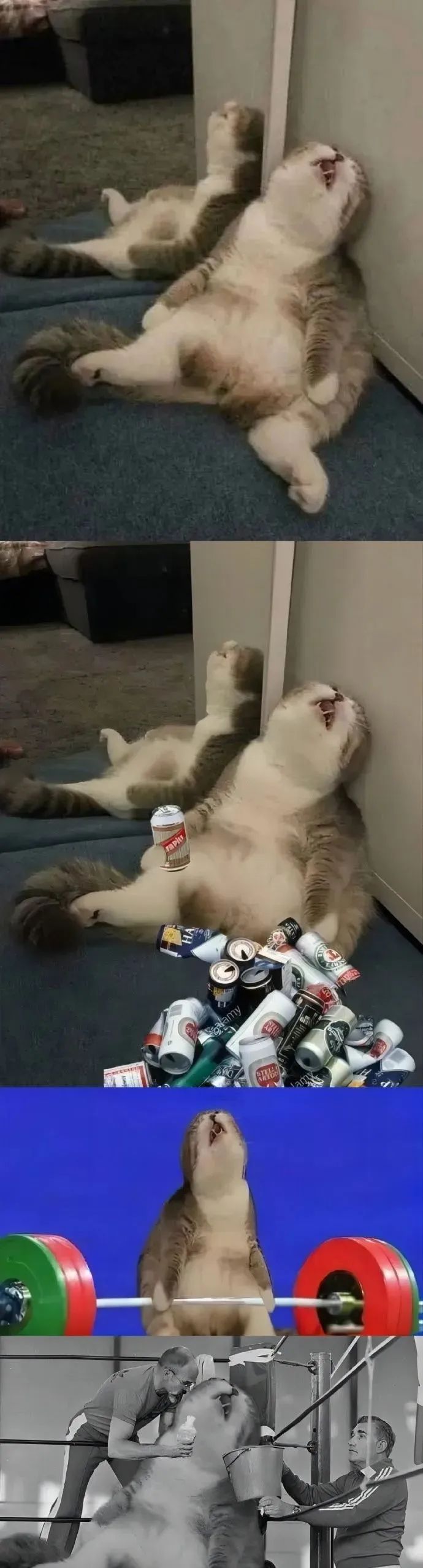 「色批头子」加入群聊…千万不要乱取昵称！哈哈哈社会性死亡…