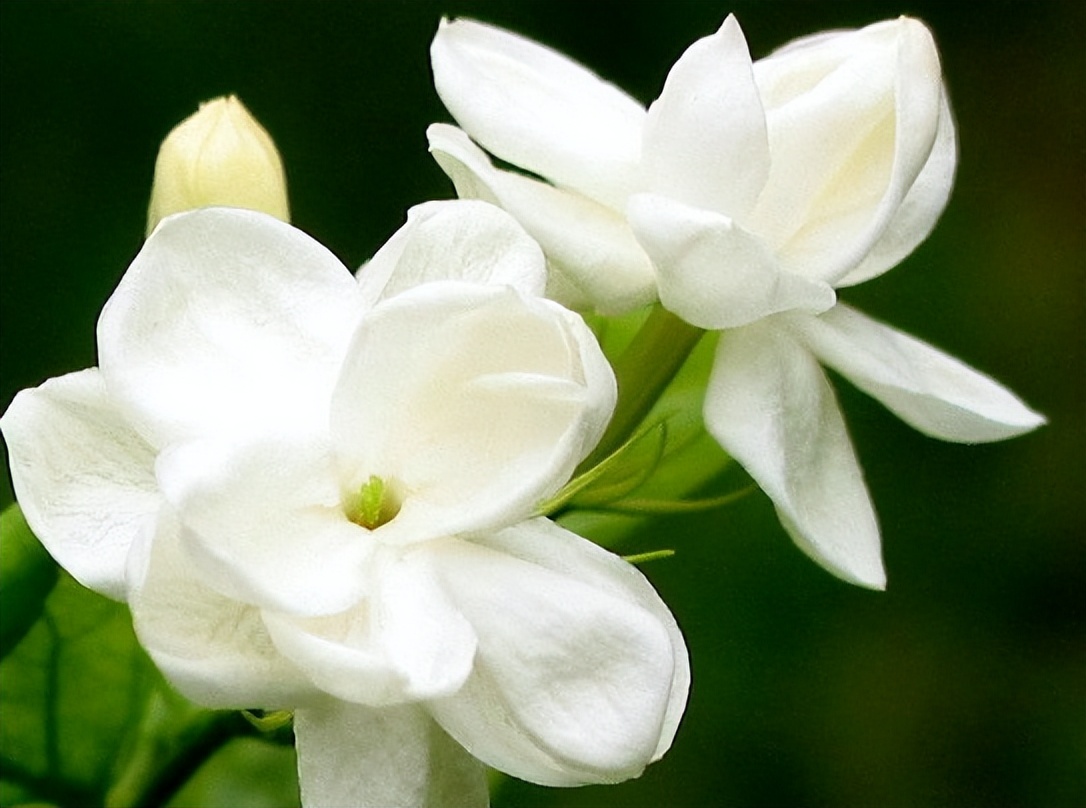 一个女人“借”了这些东西,彼此“缘分”也就尽了,早就实锤了