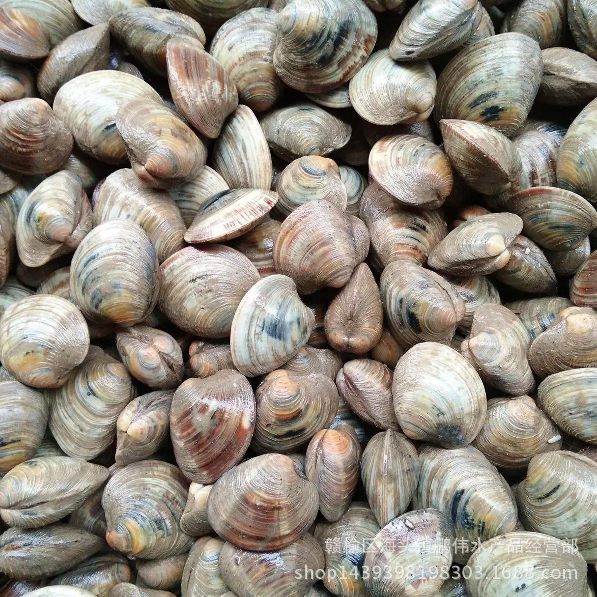 丹东附近的避暑好地方,丹东出去避暑自驾游3-4天最佳路线