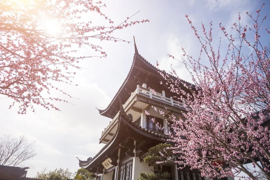 梦华录破亿预告片,刘亦菲梦华录在哪里