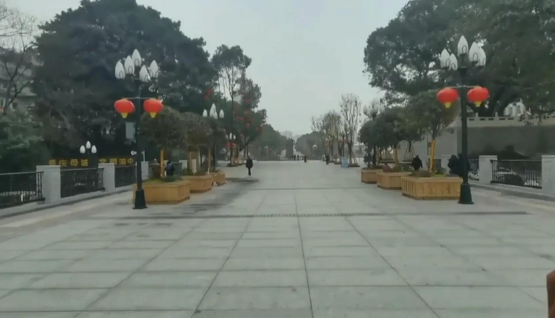 春游开拓眼界,春游樱花广场图片