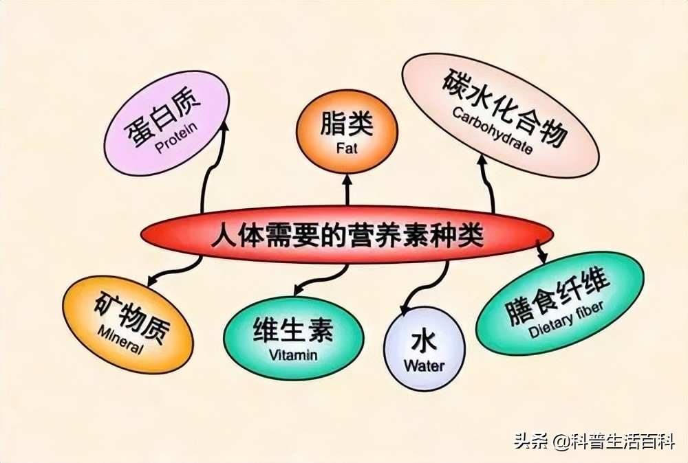 中午一个鸡蛋一个玉米可以减肥吗,晚上一个鸡蛋和一根黄瓜能减肥吗