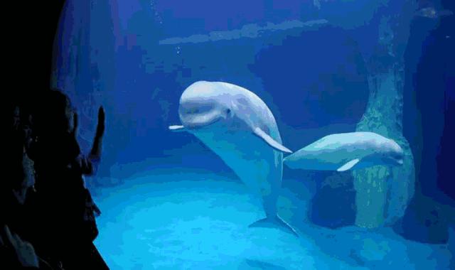 杭州六一遛娃好去处,北京六一遛娃好去处