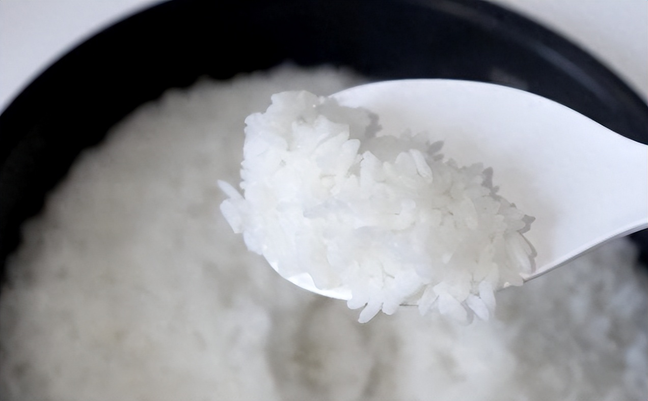 电饭煲贵的和便宜的有什么区别,100的电饭煲和500的电饭煲区别