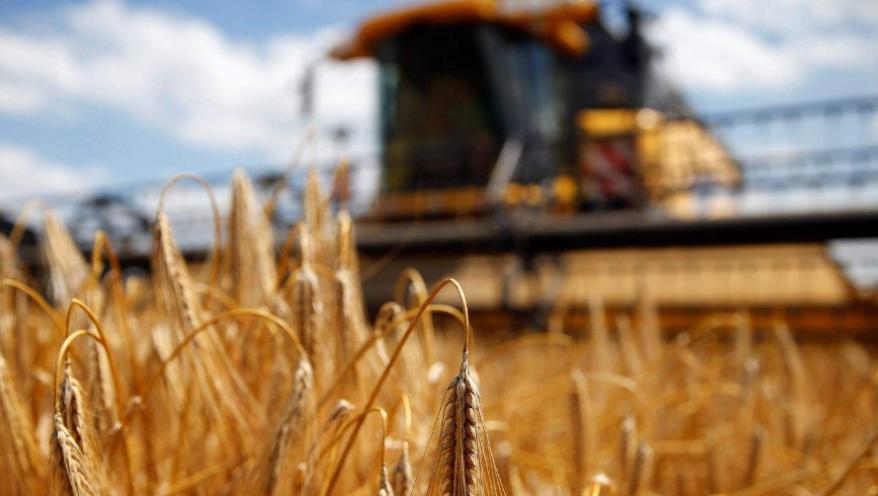 中方终止对澳洲大麦征税,中方对澳大麦关税