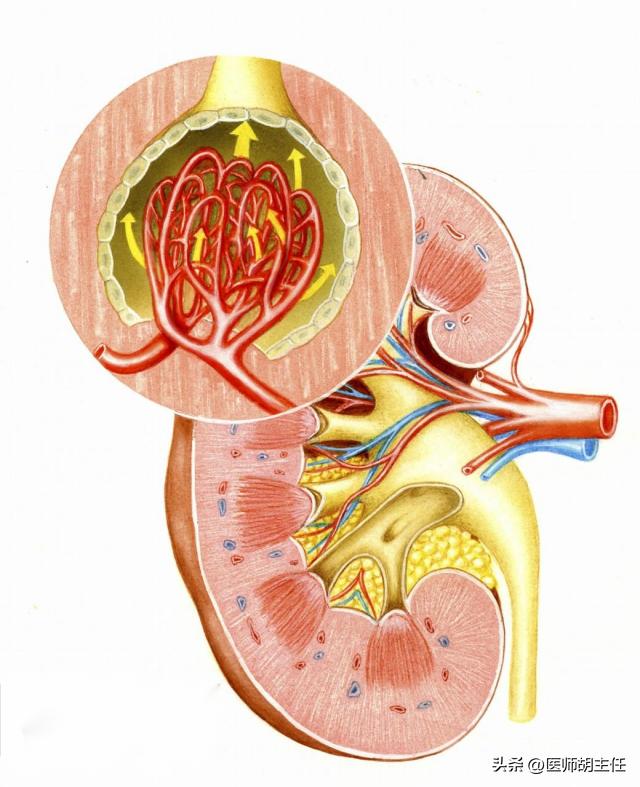 除了泡沫尿，这3个症状也是肾脏受损的征兆！不要走到透析这一步