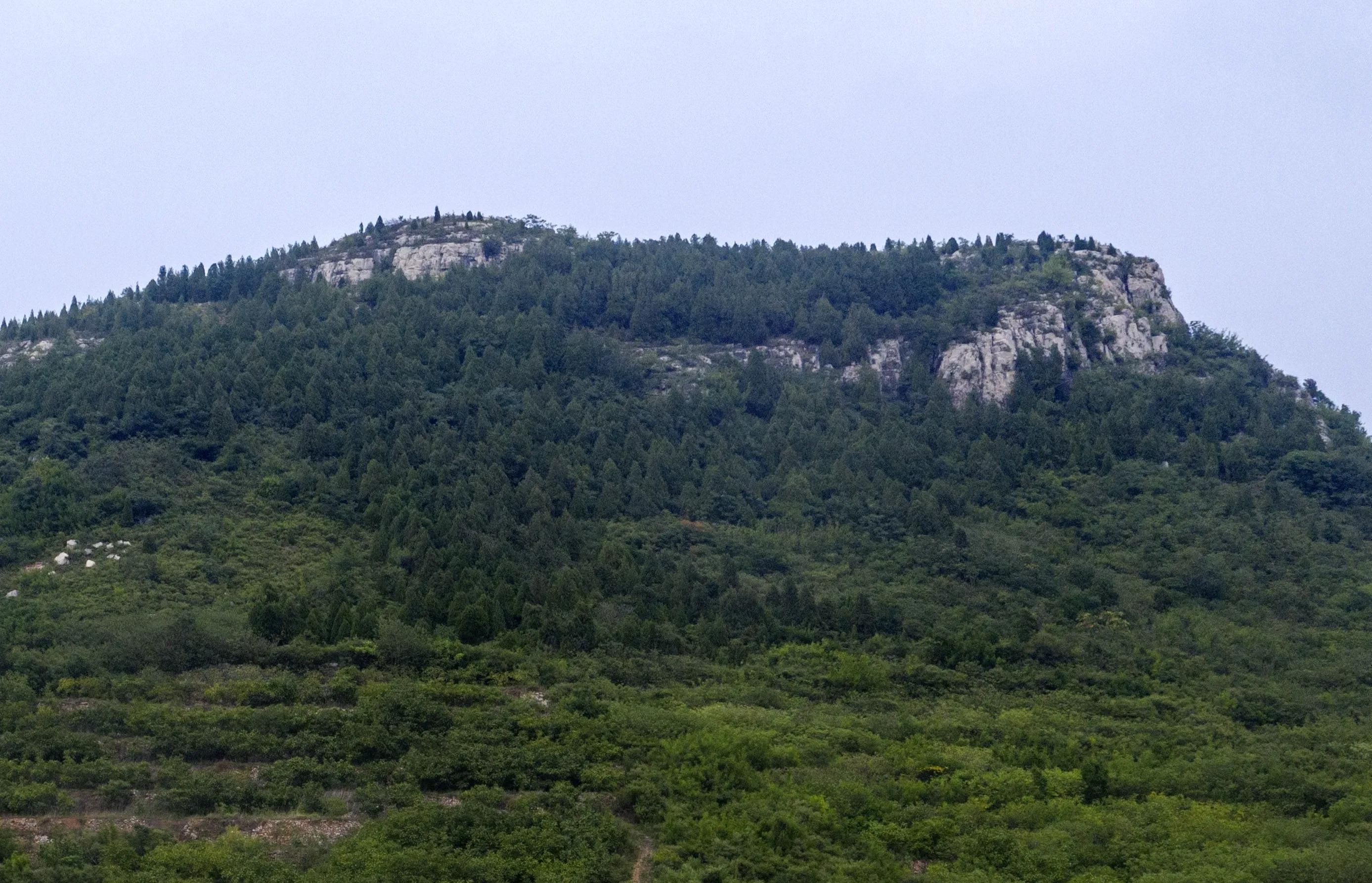 双泉镇小马山“土龙”的历史谜团